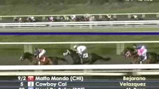 2009 Santa Anita Handicap [upl. by Okihcas]