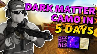 I unlocked the DARK MATTER CAMO on Black Ops 6 in 5 DAYS [upl. by Nerol]