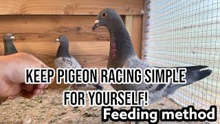 Keep Pigeon Racing Simple for yourself  How To Feed Your pigeons [upl. by Neersin]