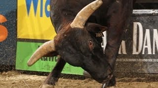 MONSTER MONEY BULL Asteroid handles Eduardo Aparecido PBR [upl. by Yffat201]