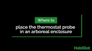 Where to place the thermostat probe in an arboreal enclosure [upl. by Hanas]