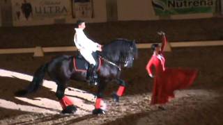 Flamenco Act  PVDA Dancing Horse Challenge 2011 [upl. by Kcirdla706]