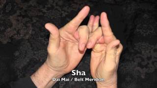 Mikkyo Mudras amp Meridians [upl. by Arba]