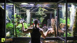 I Added Animals Into My Giant Rainforest Vivarium [upl. by Michaeline]