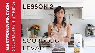 Einkorn Sourdough Levain  Mastering Einkorn Sourdough Baking  Lesson 2 [upl. by Yeltrab]