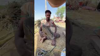 Road side broom making😱 youtubeshorts shorts indianstreet hardworking [upl. by Yajeet]