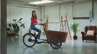 De Babboe Flow elektrische bakfiets [upl. by Aynat]