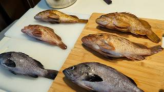 Garlic Gochugaru Pan Fried Ling  Filleting Lingcod and Rockfish with a Chef Knife and a Cleaver [upl. by Gibbeon]