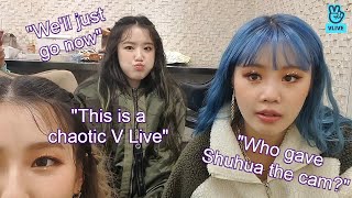 ENG SUB GIDLE Miyeon Shuhua amp Soojin Chaotic V Live  Shuhua Being Too Cute To Handle [upl. by Nedla]