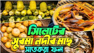 সিলেটের সুরমা নদীর টাটকা মাছ  একটা লেবুর দাম ৪৫০ টাকা সাতকরা ফল। [upl. by Card]