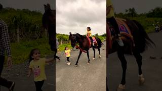 Horse 🐎 Riding  horse horses ghoda horseriding horselover ytvideo shortsfeed dhruhi [upl. by Swec]