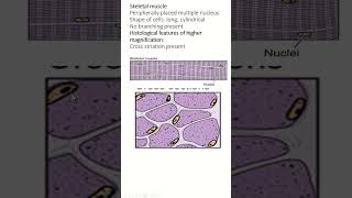 Histology of Skeletal Cardiac and Smooth Muscle An Overview [upl. by Areta]