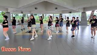 Bossa Nova  Line Dance Beginner [upl. by Eduardo247]