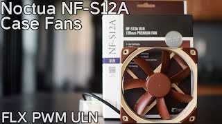 Noctua NFS12A  The Ferrari of Case Fans [upl. by Leahsim606]