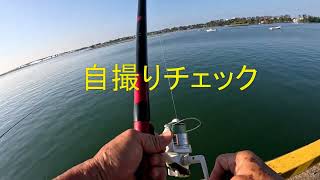 南浜名湖の釣り 毎日暑いです [upl. by Notreb]