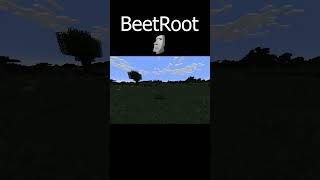 Minecraft Beetroot minecraft funny comedy [upl. by Aibun993]