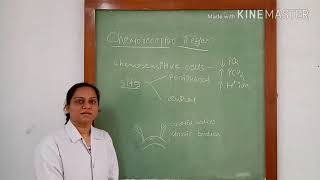 Chemoreceptor reflex for blood pressure regulation [upl. by Adnelg]