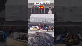 🇪🇸 ASÍ LLEGAN LAS PATERAS A LA ISLA DEL HIERRO EN EL PUERTO DE LA RESTINGA 🇪🇸 shorts viral españa [upl. by Adnar]