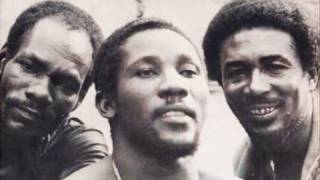 Toots amp the Maytals  Revolution [upl. by Thaddaus]