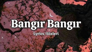 Gülşen  Bangır Bangır LyricsSözleri [upl. by Wil]