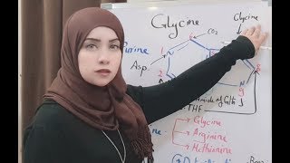 Protein Metabolism Session 9 Glycine Metabolism Cont [upl. by Roee]