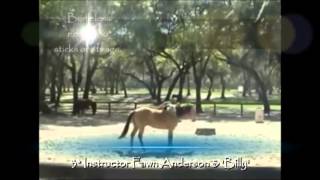 Classical Natural Vaquero  Fawn Anderson Horsemanship [upl. by Marentic]