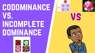 Codominance vs Incomplete Dominance [upl. by Nitsid]