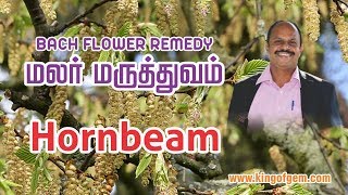 Bach Flower remedy Hornbeam மலர்மருத்துவம் MALAR MARUTHUVAM பாடம் 10 [upl. by Ennaj]