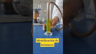 Identificación de bromuro quimicainorganica ciencia [upl. by Nirtak]