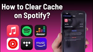 How to Clear Cache on Spotify iPhone [upl. by Roarke204]