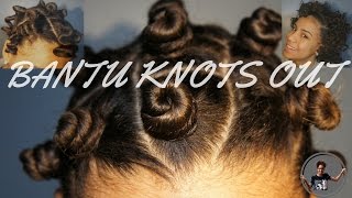 PERFECT BANTU KNOTS  OUT  HEATLESS CURLS  WORK ON EVERY TYPE OF HAIR  NATURAL HAIR  TaniaTSN [upl. by Ximenes]