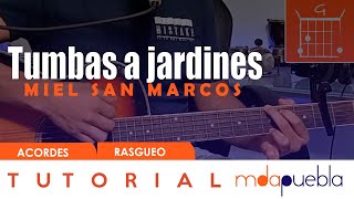 Tumbas a jardines  Miel San Marcos Elevation Worship  Tutorial guitarra acordes rasgueo [upl. by Aikaj722]