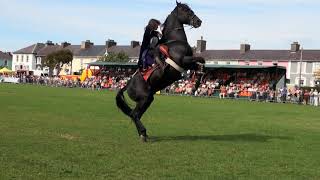 Hunt and Stunts  jumping Amazing Horse Freestyle [upl. by Broeder670]