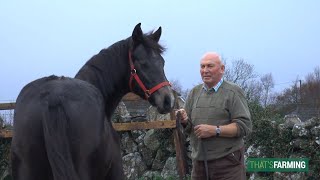 Connemara Pony Breeder  Jimmy Canavan [upl. by Anesuza186]