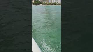 Surfing on a gloomy day in waikiki insta360go2 surfing welcometowaikiki [upl. by Fevre]