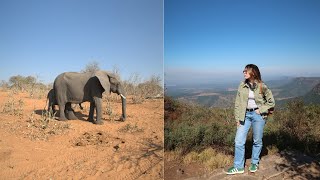 VLOG 5 South Africa Kruger National Park Bungee jumping in Victoria Falls and boat safaris [upl. by Aehsat]