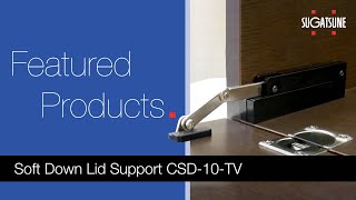 Soft Down Lid Support CSD10TV [upl. by Yllod]