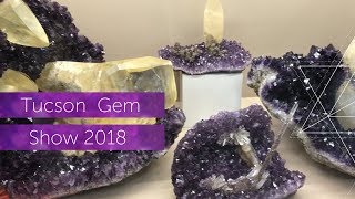 Tucson 🌵 Gem Show Vlog 📹 2018 [upl. by Eniluqcaj]