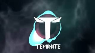 Teminite Are You Ready [upl. by Ric]