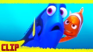 Buscando a Dory  Disney Clip quotLa Joya de Morro Bayquot Español [upl. by Norabal]