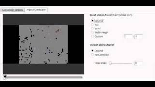 Remove Black Bars with AVS Video Converter [upl. by Ieppet672]