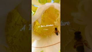 A Bees Adventure A Flower  Trailer animals flowers movie nature popular shorts tiktok up [upl. by Airekal]