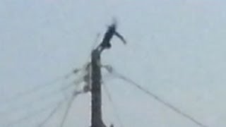 Cat gets ELECTROCUTED BACKFLIP [upl. by Cattan193]