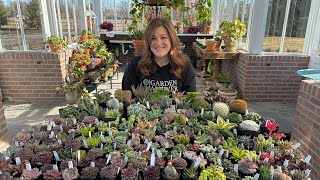 HUGE Succulent Unboxing 😳🌵😍  Garden Answer [upl. by Korb823]