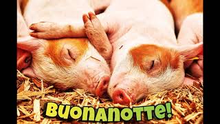 Buonanotte Immagini Bellissime GIF Animate Nuove di Auguri Divertenti con Animali che Sbadigliano 😴 [upl. by Ben]