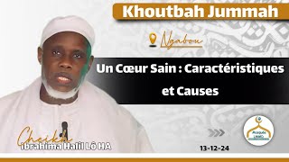 Un Cœur Sain  Caractéristiques et Causes  Cheikh Ibrahima Halil Lô HA [upl. by Sanjay]