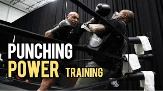 Punching Power Training for Beginners [upl. by Apfelstadt171]