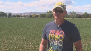 Weed lasers helps Idaho farmers [upl. by Aidualc434]