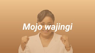 Lydie Nseya  Mojo wajingi Instrumental [upl. by Ellehcil]