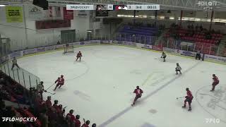 Alberni Valley Bulldogs 4 Cowichan Valley Capitals 3 [upl. by Ahsekram]